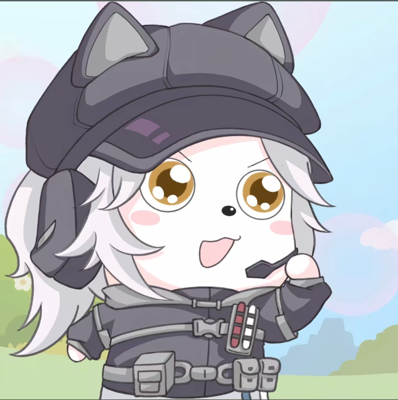 机密护航（45保350）